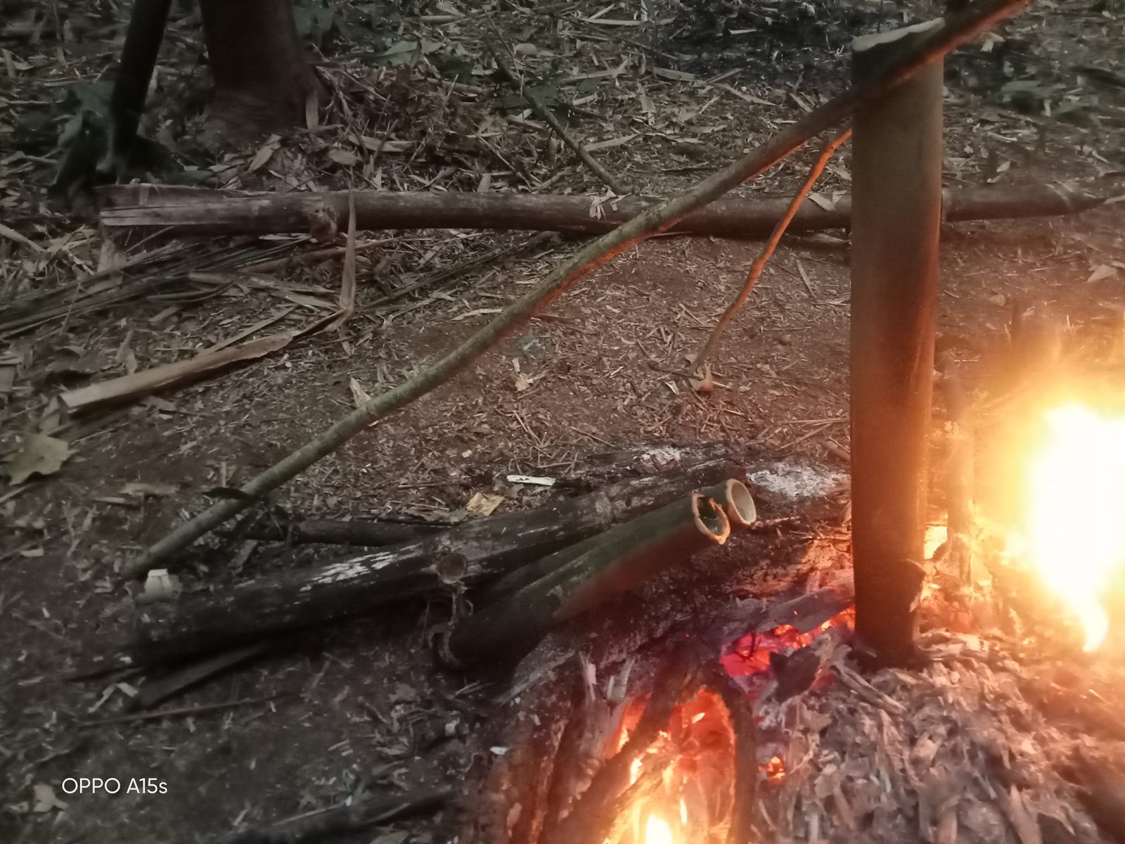 3 Days Phongsaly National Park Trekking Tour